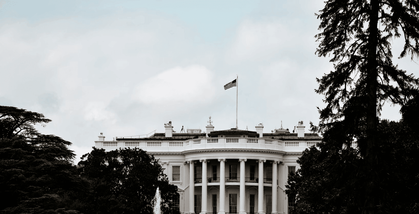 Trump, Tariffs and Transition: How Investors Can Thrive in the Coming Storm